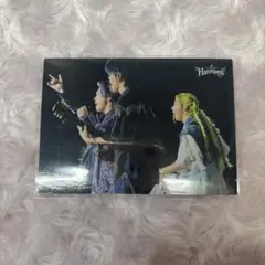 Mrs. GREEN APPLE フォトカード 044