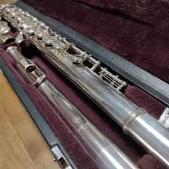 Item thumbnail for item b7331170-ad5e-41d1-a681-60fd008beafd