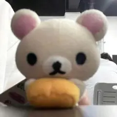 専用ページ