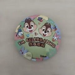 ディズニー 缶バッジ 香港ディズニーランドホテル