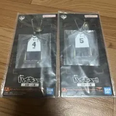 ハイキュー!!　一番くじ〜全国への道〜　木兎光太郎・赤葦京治 アクリルチャーム