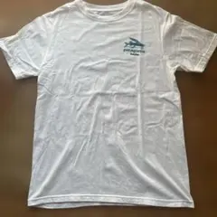 patagonia haleiwa フィッシュプリント Tシャツ