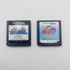 ニンテンドーDS 釣りゲームセット