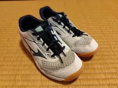 値下げ!!未使用に近い!!MIZUNO バレーボールシューズ 22.0cmのサムネイル