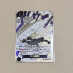 ワンピースカード 浸食輪廻/グラウンド・デス パラレル OP14-096