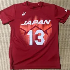 バレーボール男子日本代表応援Tシャツ 13 小川智大　Mサイズ