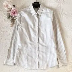 EddieBauer 形態安定 ストライプシャツ PXS 春 清潔感 羽織