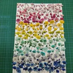 シバコ♪GOLF様 リクエスト 2点 まとめ商品