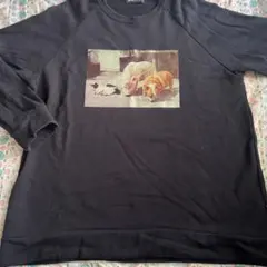 Item thumbnail for item d5ac8907-f412-4f4d-8f1d-0d639695209a