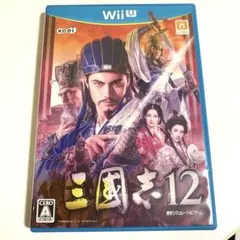 삼국지 12