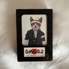 2026年最新】なめ猫 トランプの人気アイテム - メルカリ