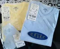 Item thumbnail for item 0439ebcd-6837-4d74-b848-66d09ccf67da