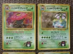 【極美品！】エリカのラフレシア & エリカのフシギバナ