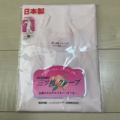 Item thumbnail for item 8a9abb6b-57e7-49a8-938b-0c00a59b6222