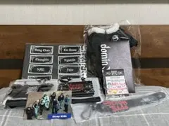 【おまけ付き】スキズ アプグレ グッズ 特典 dominATE JAPAN