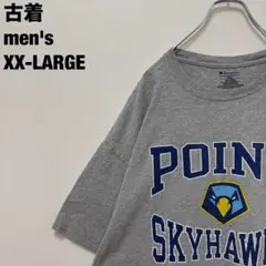 古着 チャンピオン Tシャツ NAIA ポイント大学 スカイホークス XXL