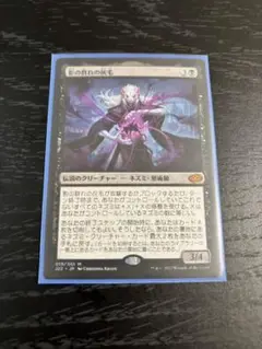 影の群れの灰毛