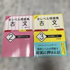 全レベル問題集 古文 2・3セット 共通テスト 私大対策