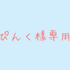 ぴんく様専用