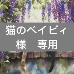 猫のベイビィ様　専用