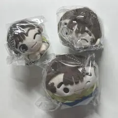 忍たま乱太郎 ぽてコロ はぐキャラ ふわコロりん 尾浜勘右衛門 【匿名発送】