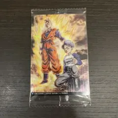 イタジャガ ドラゴンボールZ 第8弾　孫悟飯 & トランクス