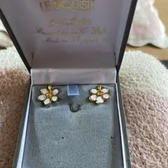 Item thumbnail for item a3465708-a1bf-48bb-8662-9be2dc86a533