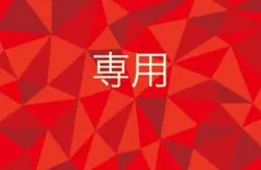 天音@グッズ整理のため断捨離中様専用