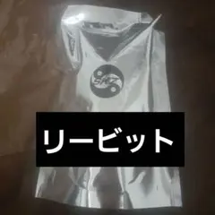 Stray Kids KARMA SKZOOver キーリング リービット