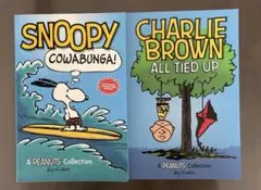 Item thumbnail for item c5cffced-4b14-433c-91d1-530863668985