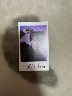 【バラ売り可、値下げ交渉〇】超特急 マサヒロ『NINE LIVES』ミニフォト