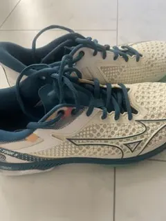 Mizuno WAVE EXCEED TOUR 5 25.5cm