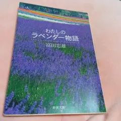 Item thumbnail for item 87c64092-22dc-45ca-a925-512cd4c91126