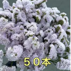 ローズマリー様 リクエスト 2点 まとめ商品