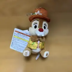 【値下げ】ぬいぐるみバッジ　デール ディズニーリゾートのサムネイル