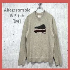 Abercrombie & Fitch 【M】 ベージュ セーター 車 長袖