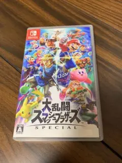 Switch 大乱闘スマッシュブラザーズ　ケースのみ