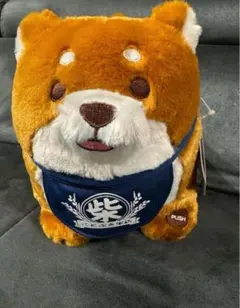 Item thumbnail for item 74074b9f-e0cc-4c1a-8392-5235f0f35770