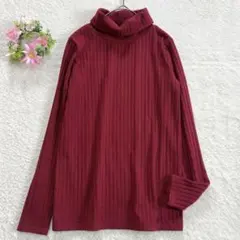 美品★ 【サマンサモスモスブルー】 タートルネック リブニット トップス 上品