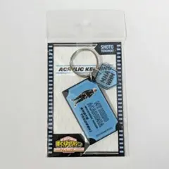僕のヒーローアカデミア　轟焦凍　２連ラバー塗装風アクリルキーホルダー