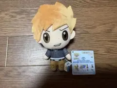 2026年最新】ポケモンマスターズex ぬいぐるみの人気アイテム - メルカリ