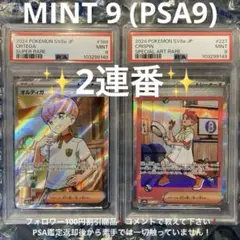 オルティガ SR アカマツ SAR テラスタルフェスex PSA9 2連番