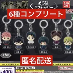 コンプリート　呪術廻戦　めじるしアクセサリー　虎杖　伏黒　脹相　直哉　真希　乙骨