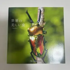 世界の美しい虫 Insects 写真集