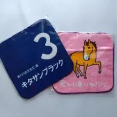 【JRA】2017来場ポイントキャンペーン ミニタオル 2枚セット（未開封）