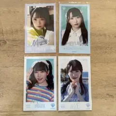 本田珠由記 ノイミー ≠ME ミニフォトカードまとめ売り