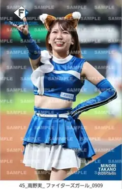 ファイターズガール　高野実　フォトカード　9/9　新品　みのりん