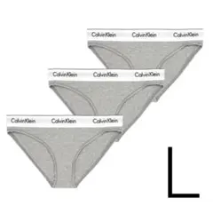 Calvin Klein カルバンクライン ショーツ 3枚セット Lサイズ