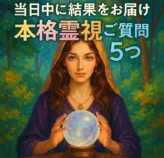 ご質問5つ 本格霊視鑑定 チャット占い 深掘り鑑定