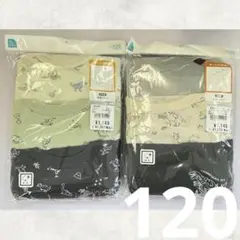 【新品】キッズ肌着 長袖シャツ6枚セット 120cm 恐竜 男の子